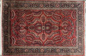 indian sarouk 6x9-2 ws